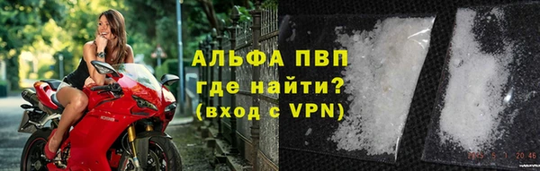 ПСИЛОЦИБИНОВЫЕ ГРИБЫ Переславль-Залесский