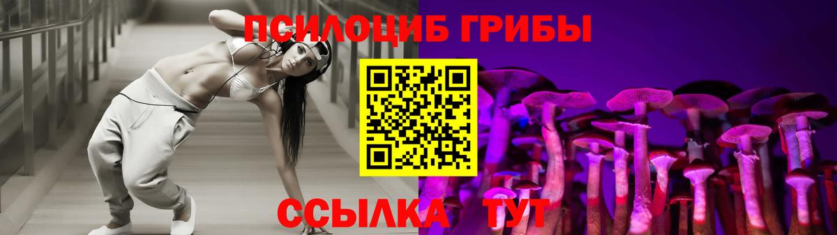 Галлюциногенные грибы MAGIC MUSHROOMS  Вход с VPN  Хабаровск 